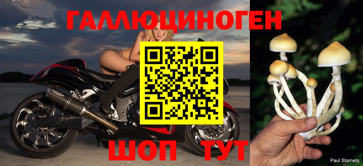 Семёнов  Псилоцибиновые грибы Psilocybe  Галлюциногенные грибы мицелий  Вход с VPN 