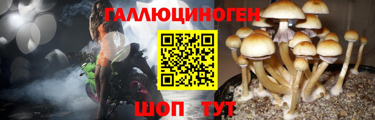 Галлюциногенные грибы Psilocybe Семёнов